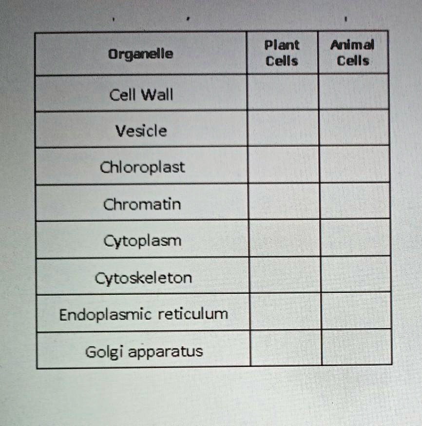 SOLVED: 'ACTIVITY 2 PUT A CHECK IN THE APPROPRIATE COLUMN(S) TO INDICATE  WHETHER THE FOLLOWING ORGANELLES ARE FOUND IN PLANT CELLS, ANIMAL CELLS OR  BOTH. Plant Cells Animel Cells Organelle Cell Wall