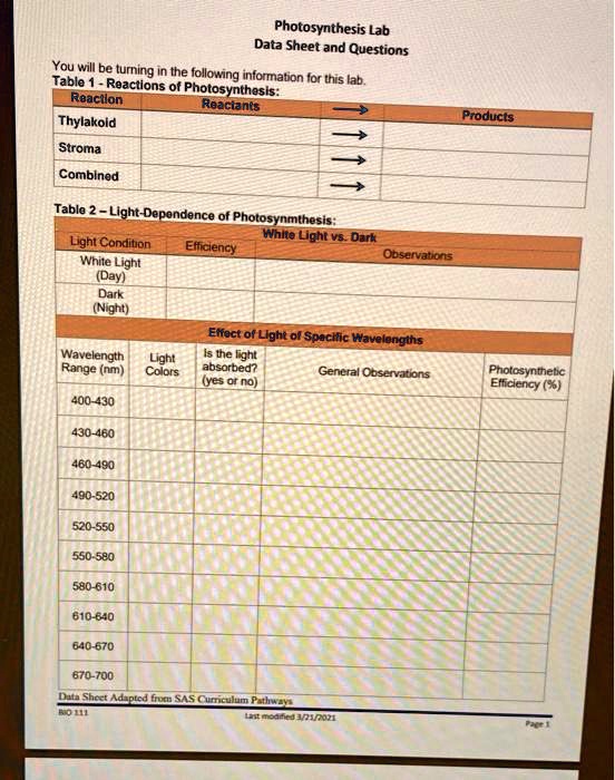SOLVED Photosynthesis Lab Data Sheet and Questions You will be turning