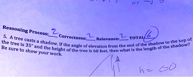 Reasoning Process:Correctness:Relevance:TOTAL 5. A tree casts a shadow ...