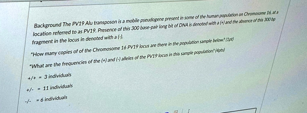 Background The PV19 Alu transposon is a mobile pseudogene present in some of the human population on Chromosome 16, at a
location referred to as PV19. Presence of this 300 base-pair long bit of DNA is denoted with a (+) and the absence of this 300 bp
fragment in the locus in denoted with a (-).
*How many copies of of the Chromosome 16 PV19 locus are there in the population sample below? (1pt)
*What are the frequencies of the (+) and (-) alleles of the PV19 locus in this sample population? (4pts)
+/+ = 3 individuals
+/- = 11 individuals
-/- = 6 individuals