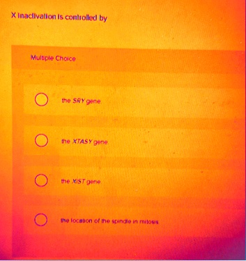 x inactivation is controlled by multiple choice the sry gene the xtasy gene the xist gene the location of the spindle in mitosis 34013