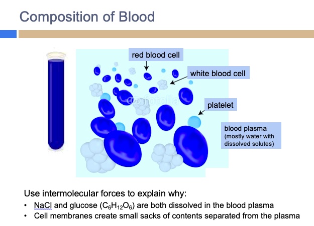 VIDEO solution: Composition of Blood Red blood cell White blood cell ...