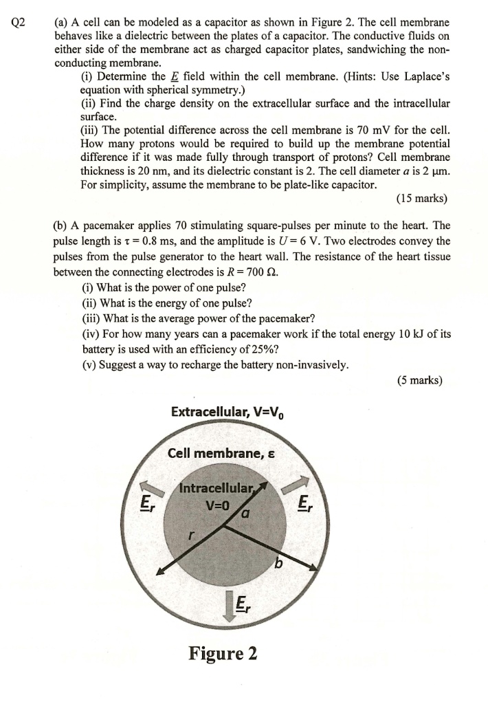 SOLVED Q2 (a) A cell can be modeled as a capacitor as shown in Figure
