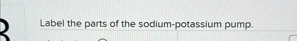 SOLVED: Label the parts of the sodium-potassium pump. Label the parts ...