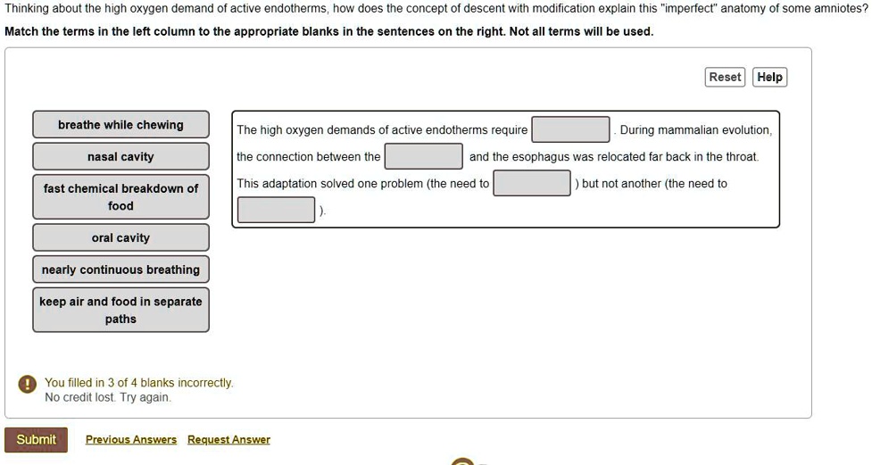 Thinking About The High Oxygen Demand Of Active Endotherms, How Does 