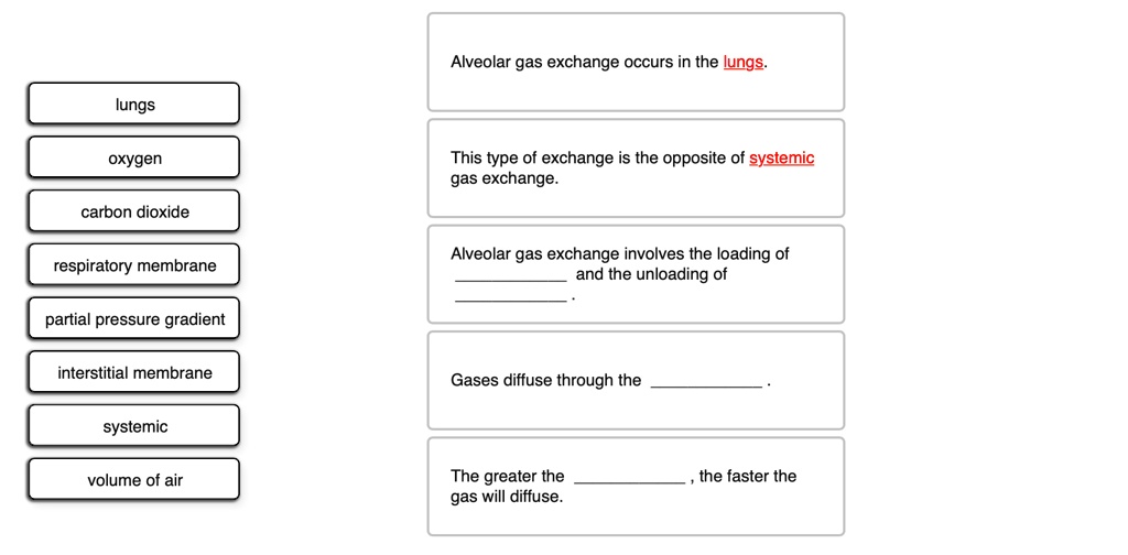 SOLVED Alveolar gas exchange occurs in the lungs lungs oxygen This
