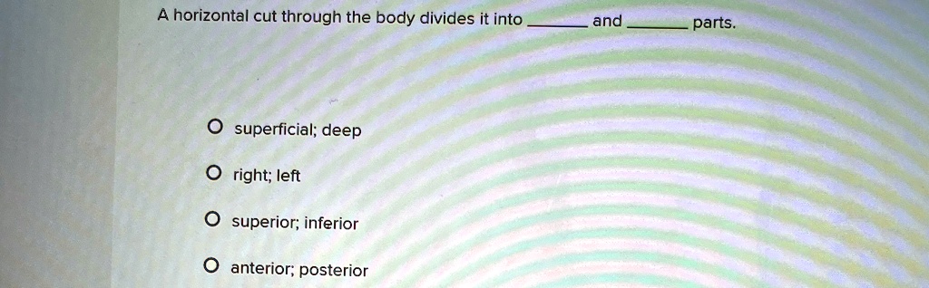 a horizontal cut through the body divides it into  and  parts o superficial deep o right left o superior inferior o anterior posterior 23939