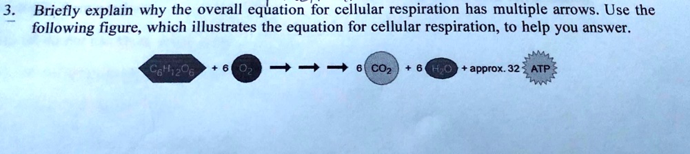 [GET ANSWER] 3 briefly explain why the overall equation for cellular ...
