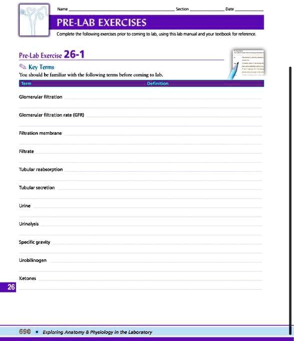 SOLVED: Text: Section Date PRE-LAB EXERCISES Complete The Following ...