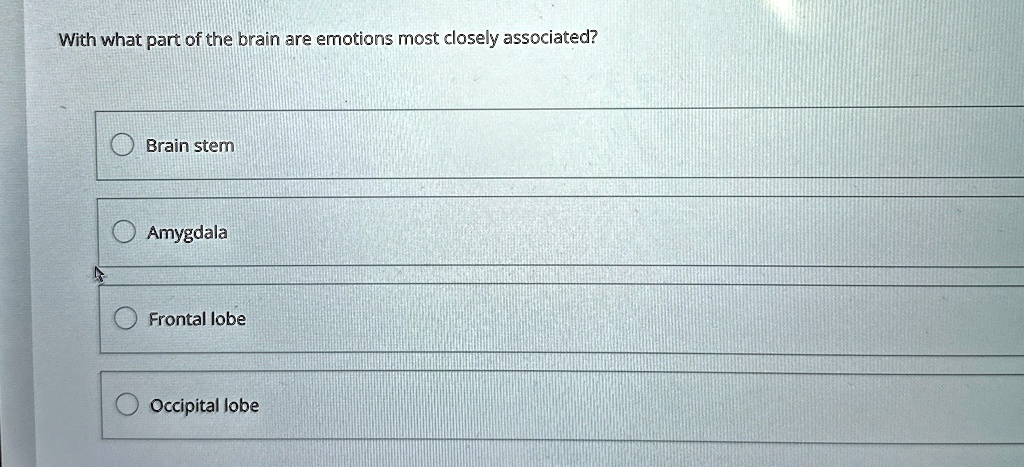 With what part of the brain are emotions most closely associated?
Brain stem
Amygdala
Frontal lobe
Occipital lobe