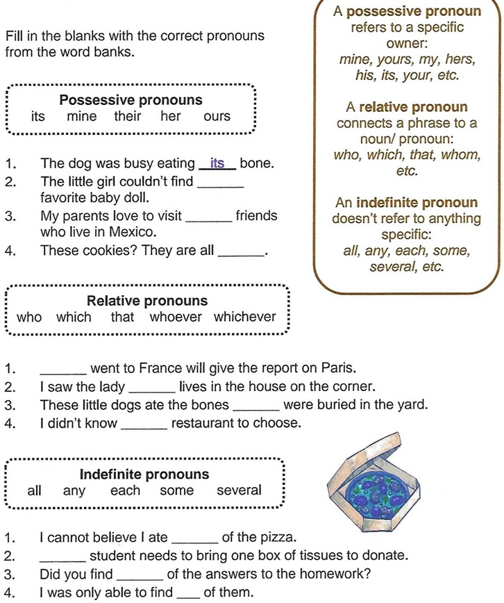 SOLVED: Basic English A possessive pronoun refers to a specific owner ...