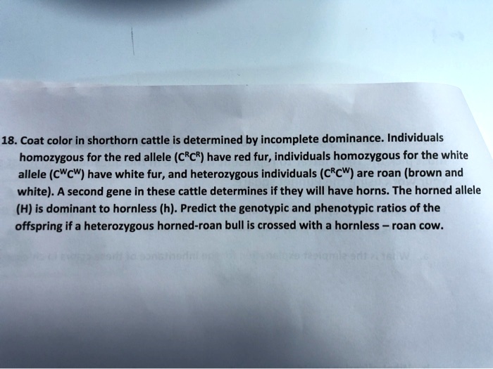 SOLVED Coat color in Shorthorn cattle is determined by
