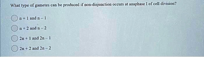 What type of gametes can be produced if non-disjunction occurs at anaphase I of cell division?
n + 1 and n - 1
n + 2 and n - 2
2n + 1 and 2n - 1
2n + 2 and 2n - 2