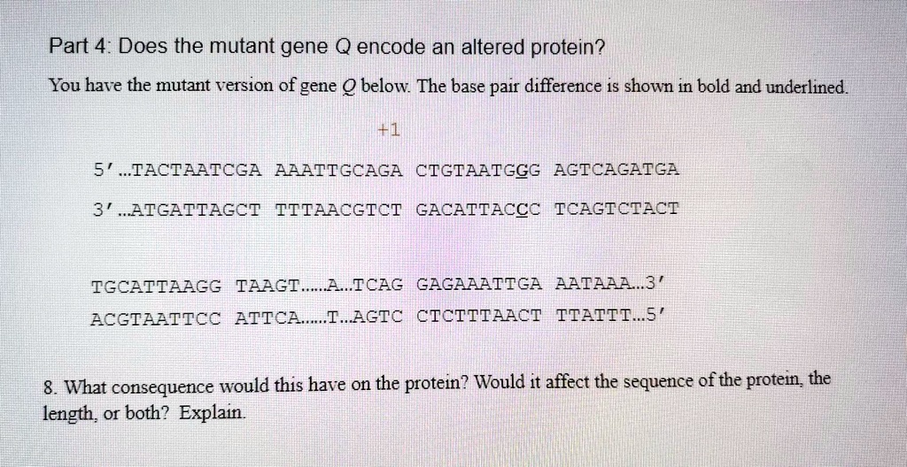 SOLVED Part 4 Does the mutant gene encode an altered protein? You
