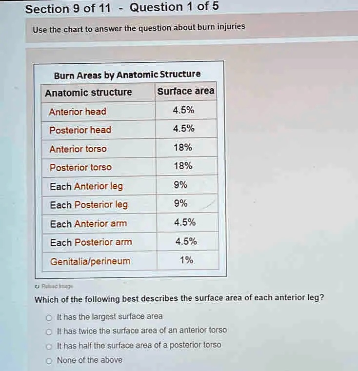 Solved: Burn Areas By Anatomic Structure Anatomic Structure Surface 