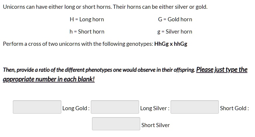 What is the phenotype ratio of HhGg HHGg 