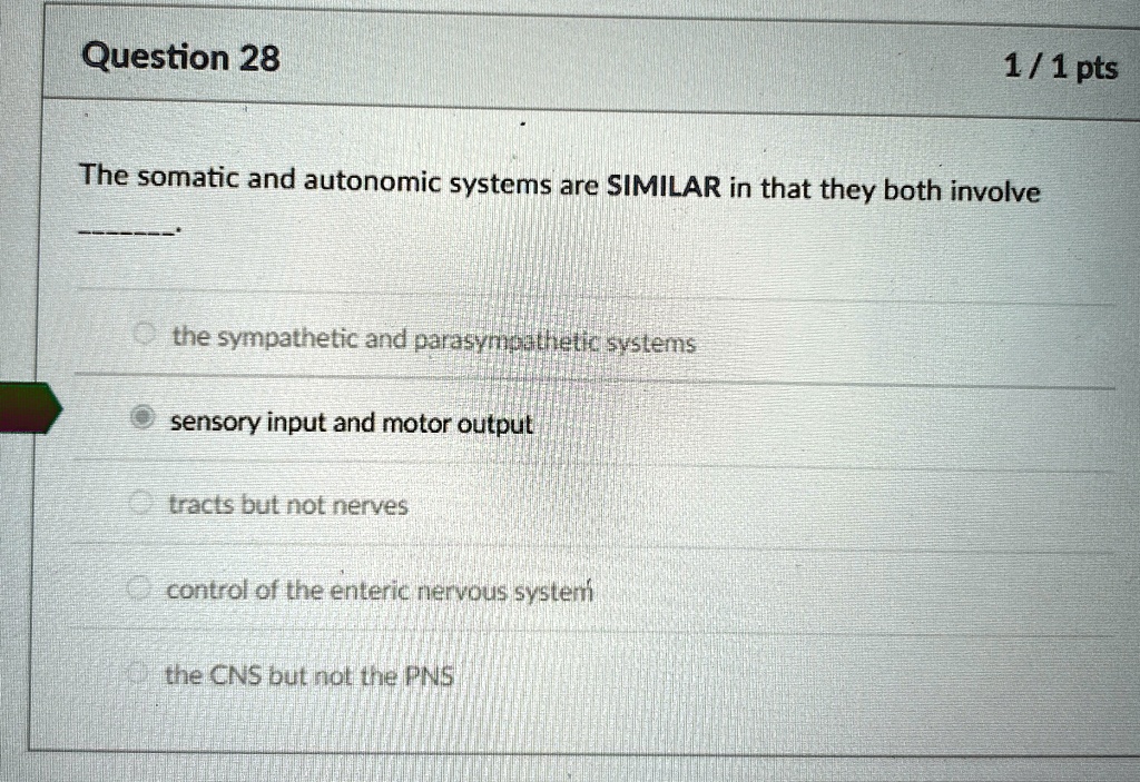 question 28 11 pts the somatic and autonomic systems are similar in that they both involve the sympathetic and parasympathetic systems sensory input and motor output tracts but not nerves co 24852