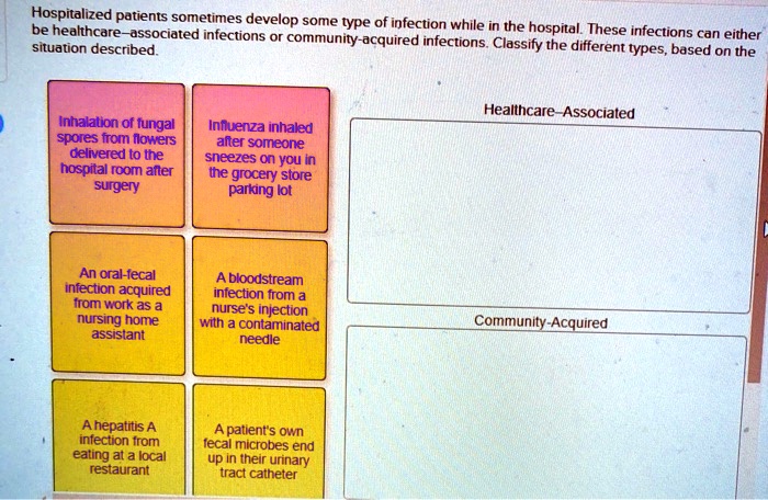 Hospitalized patients sometimes develop some type of infection while in the hospital. These infections can either be healthcare-associated infections or community-acquired infections. Classify the different types, based on the situation described.
Healthcare-Associated
Community-Acquired
Inhalation of fungal spores from flowers delivered to the hospital room after surgery
Influenza inhaled after someone sneezes on you in the grocery store parking lot
An oral-fecal infection acquired from work as a nursing home assistant
A bloodstream infection from a nurse's injection with a contaminated needle
A hepatitis A infection from eating at a local restaurant
A patient's own fecal microbes end up in their urinary tract catheter
