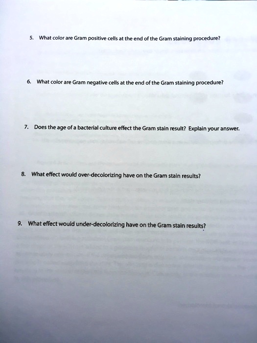 5. What color are Gram positive cells at the end of the Gram staining procedure?
6. What color are Gram negative cells at the end of the Gram staining procedure?
7. Does the age of a bacterial culture effect the Gram stain result? Explain your answer.
8. What effect would over-decolorizing have on the Gram stain results?
9. What effect would under-decolorizing have on the Gram stain results?