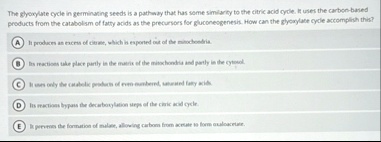 the ghooglate cycle in germinating seeds is a pathway that has some similarity to the citric acid cycle is uses the carbon based eroducts from the catabolism of fatty acids as the precursors 65448