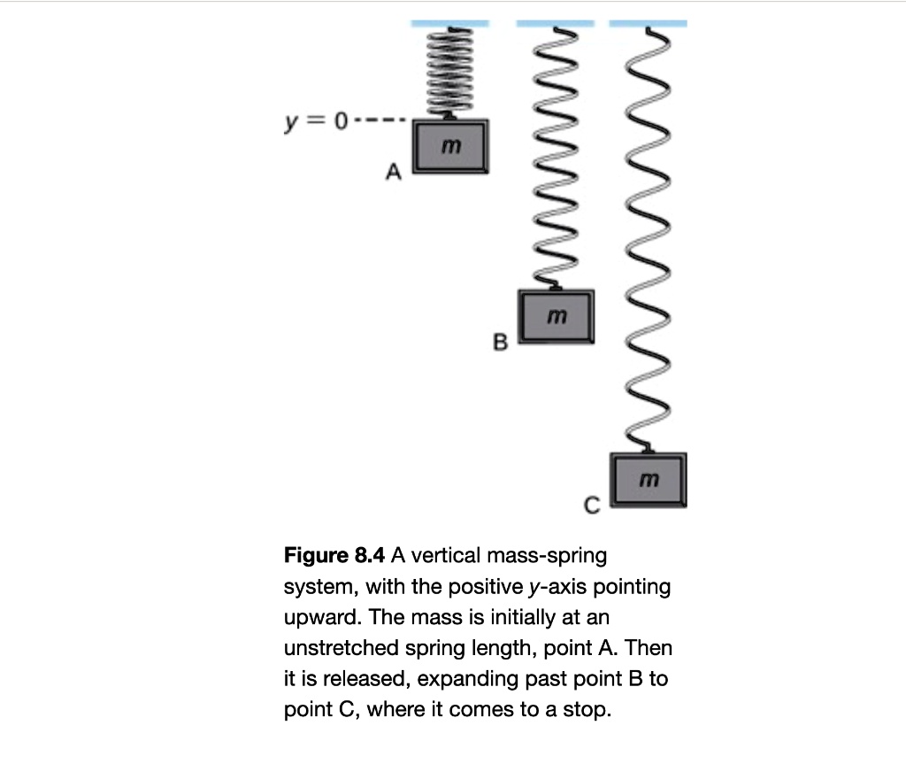 Solved Y 0 W A 3 0 3 Figure 84 A Vertical Mass Spring System With The Positive Y Axis 3678