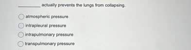  actually prevents the lungs from collapsing.
atmospheric pressure
intrapleural pressure
intrapulmonary pressure
transpulmonary pressure