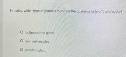In males, which type of gland is found on the posterior side of the bladder?
bulbourethral gland
seminal vesicles
prostate gland
