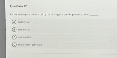 Enhanced phagocytosis of a cell by the binding of a specific protein is called .
A) endocytosis
B) anaphylaxis
C) opsonization
D) complement activation