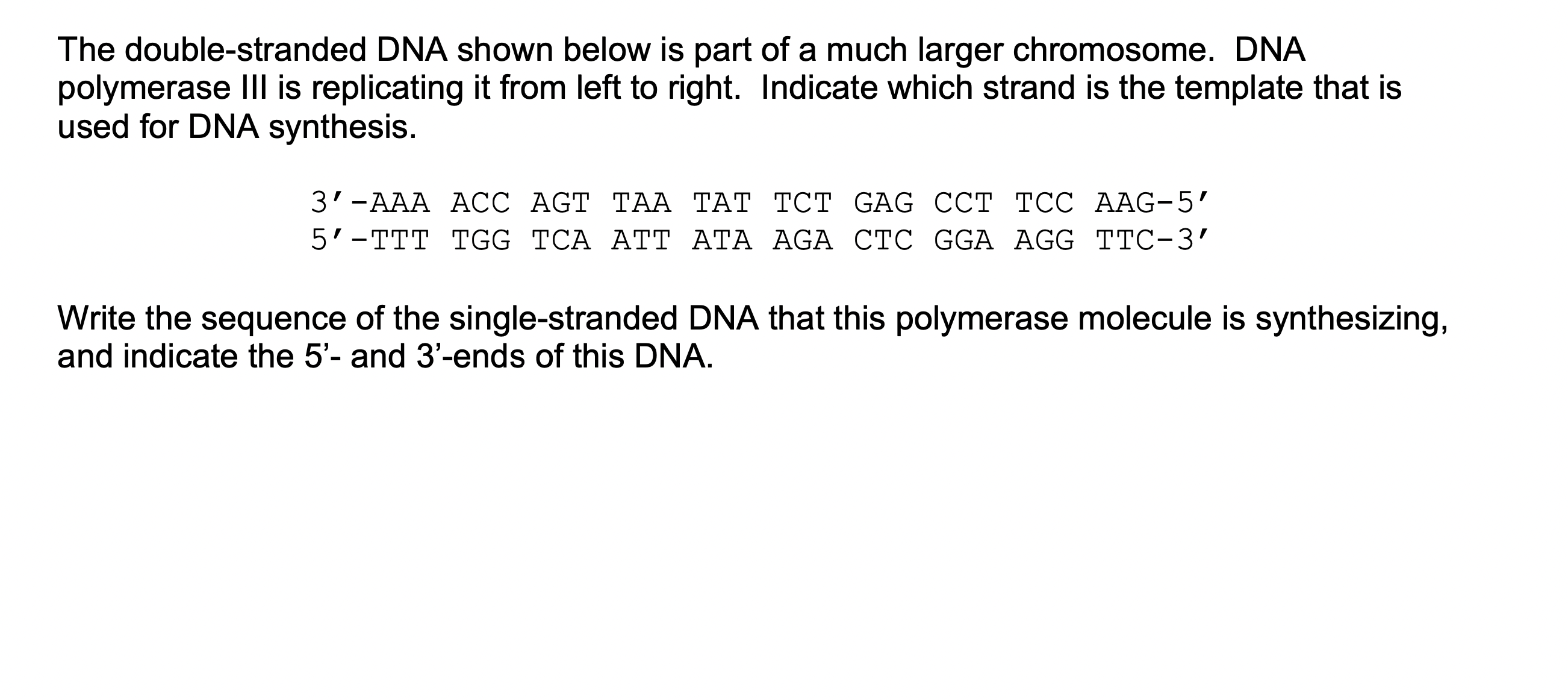 SOLVED: The double-stranded DNA shown below is part of a much larger ...