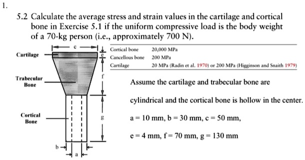 SOLVED: 5.2 Calculate the average stress and strain values in the ...