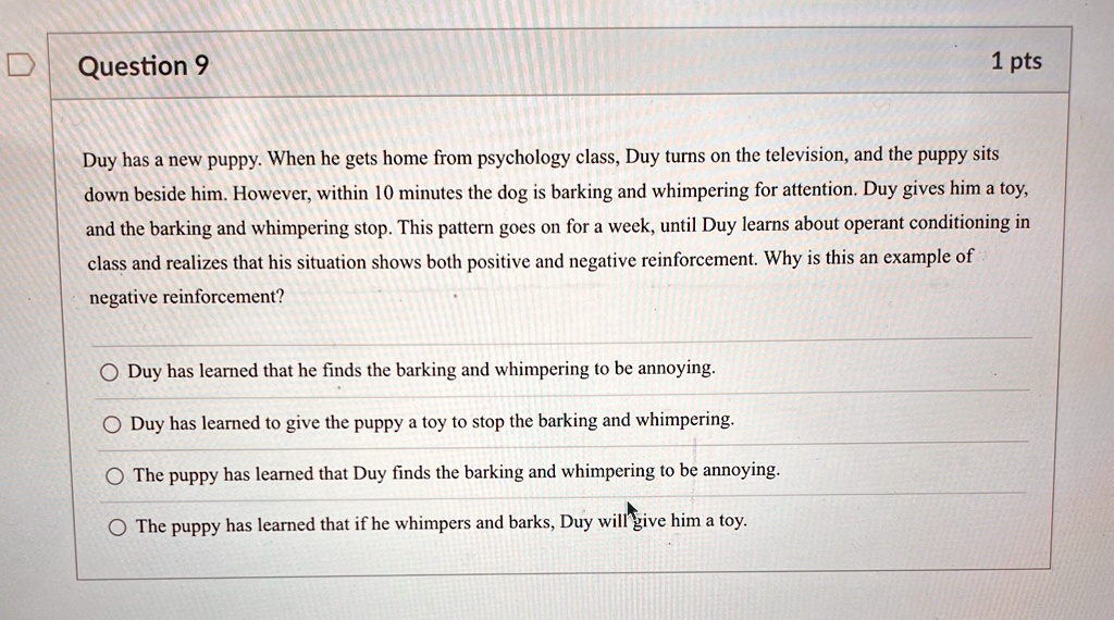 Question 9
1 pts
Duy has a new puppy. When he gets home from psychology class, Duy turns on the television, and the puppy sits
down beside him. However, within 10 minutes the dog is barking and whimpering for attention. Duy gives him a toy,
and the barking and whimpering stop. This pattern goes on for a week, until Duy learns about operant conditioning in
class and realizes that his situation shows both positive and negative reinforcement. Why is this an example of
negative reinforcement?
Duy has learned that he finds the barking and whimpering to be annoying.
Duy has learned to give the puppy a toy to stop the barking and whimpering.
The puppy has learned that Duy finds the barking and whimpering to be annoying.
The puppy has learned that if he whimpers and barks, Duy will give him a toy.