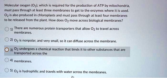 Molecular oxygen (O2), which is required for the production of ATP by mitochondria, must pass through at least three membranes to get to the enzymes where it is used. O2 is also produced in chloroplasts and must pass through at least four membranes to be released from the plant. How does O2 move across biological membranes?
1) There are numerous protein transporters that allow O2 to travel across membranes.
2) O2 is nonpolar, and very small, so it can diffuse across the membrane.
3) O2 undergoes a chemical reaction that binds it to other substances that are transported across the
4) membranes.
5) O2 is hydrophilic and travels with water across the membranes.
