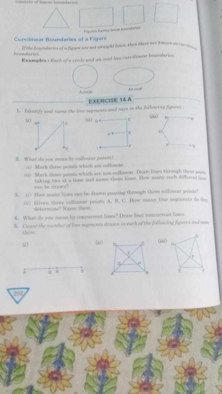 consints of homene boundarisis Figures having inear boundaries ...