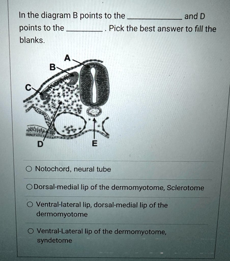 In the diagram, B points to the and D points to the . Pick the best ...