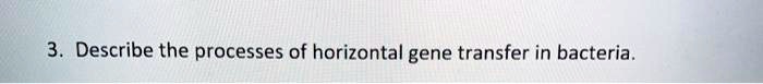 3. Describe the processes of horizontal gene transfer in bacteria.