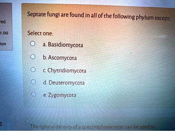 SOLVED Septate fungi are found in all ofthe following phylum except