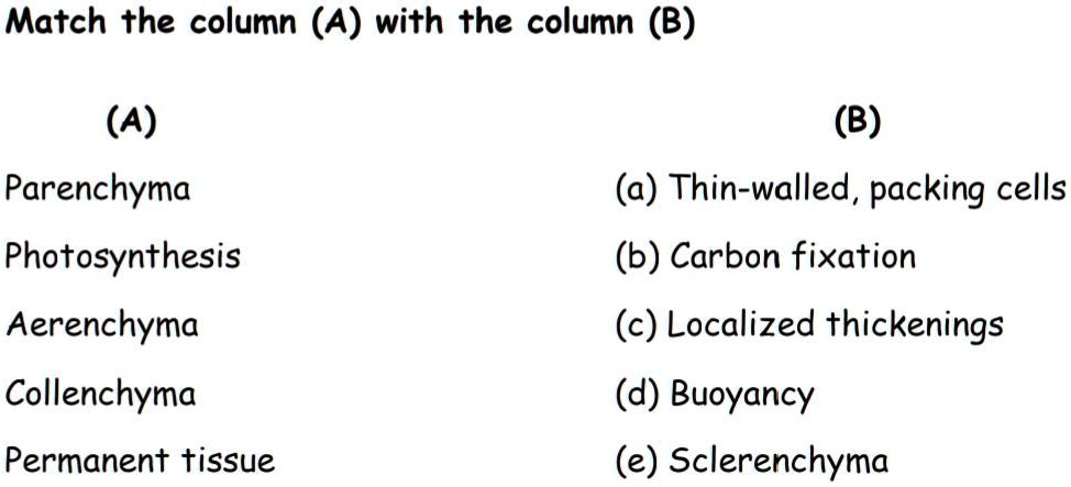 SOLVED: 'Please Solve This Fast Match The Column (A) With The Column (B ...