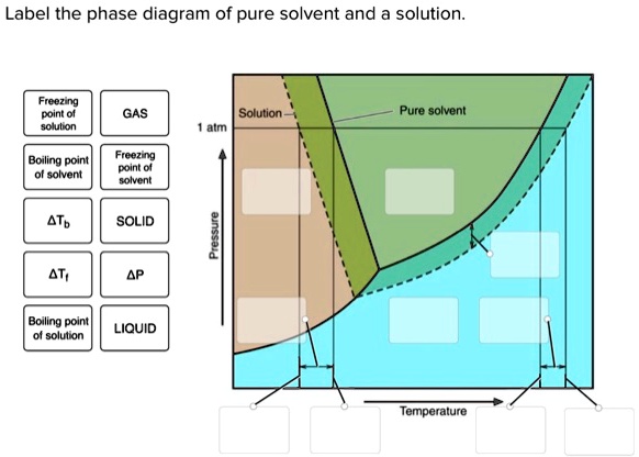 Label The Phase Diagram Of Pure Solvent And A Solutio… - SolvedLib