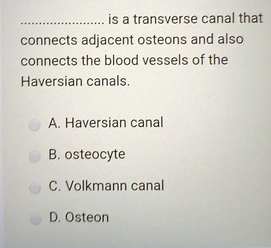 haversian canal volkmann versus