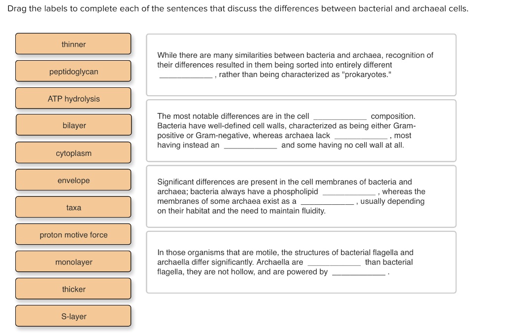 Solved: Drag The Labels To Complete Each Of The Sentences That Discuss 