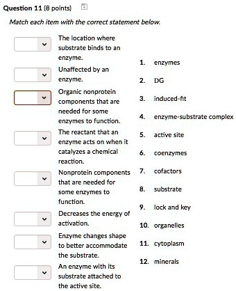 Question 11 (8 points)
Match each item with the correct statement below.
The location where
substrate binds to an
enzyme.
Unaffected by an
enzyme.
Organic nonprotein
components that are
needed for some
enzymes to function.
The reactant that an
enzyme acts on when it
catalyzes a chemical
reaction.
Nonprotein components
that are needed for
some enzymes to
function.
Decreases the energy of
activation.
Enzyme changes shape
to better accommodate
the substrate.
An enzyme with its
substrate attached to
the active site.
1. enzymes
2. DG
3. induced-fit
4. enzyme-substrate complex
5. active site
6. coenzymes
7. cofactors
8. substrate
9. lock and key
10. organelles
11. cytoplasm
12. minerals