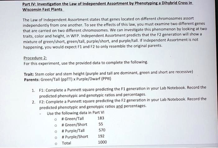 Part IV: Investigation the Law of Independent Assortment by Phenotyping a Dihybrid Cross in Wisconsin Fast Plants

The Law of Independent Assortment states that genes located on different chromosomes assort independently from one another. To see the effects of this law, you must examine two different genes that are carried on two different chromosomes. We can investigate this phenomenon by looking at two traits, color and height, in WFP. Independent Assortment predicts that the F2 generation will show a mixture of green/short, green/tall, purple/short, and purple/tall. If Independent Assortment is not happening, you would expect F1 and F2 to only resemble the original parents.

Procedure 2:
For this experiment, use the provided data to complete the following.

Trait: Stem color and stem height (purple and tall are dominant, green and short are recessive)
Parents: Green/Tall (ppTT) x Purple/Dwarf (PPtt)

1. F1: Complete a Punnett square predicting the F1 generation in your Lab Notebook. Record the predicted phenotypic and genotypic ratios and percentages.
2. F2: Complete a Punnett square predicting the F2 generation in your Lab Notebook. Record the predicted phenotypic and genotypic ratios and percentages.
- Use the following data in Part VI
o # Green/Tall 183
o # Green/Short 55
o # Purple/Tall 570
o # Purple/Short 192
o Total 1000