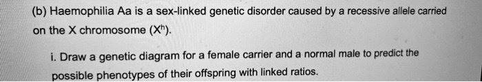 Solved B Haemophilia Aa Is A Sex Linked Genetic Disorder Caused By A Recessive Allele Carried