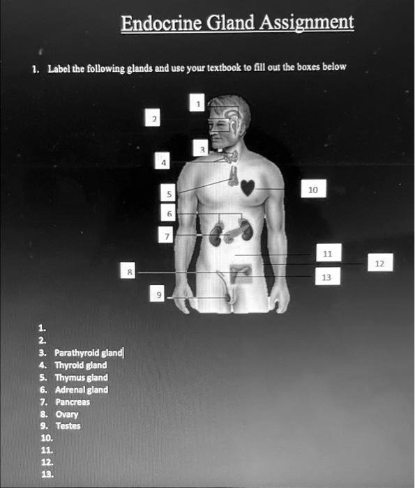 SOLVED label the following glands and use your textbook to fill out
