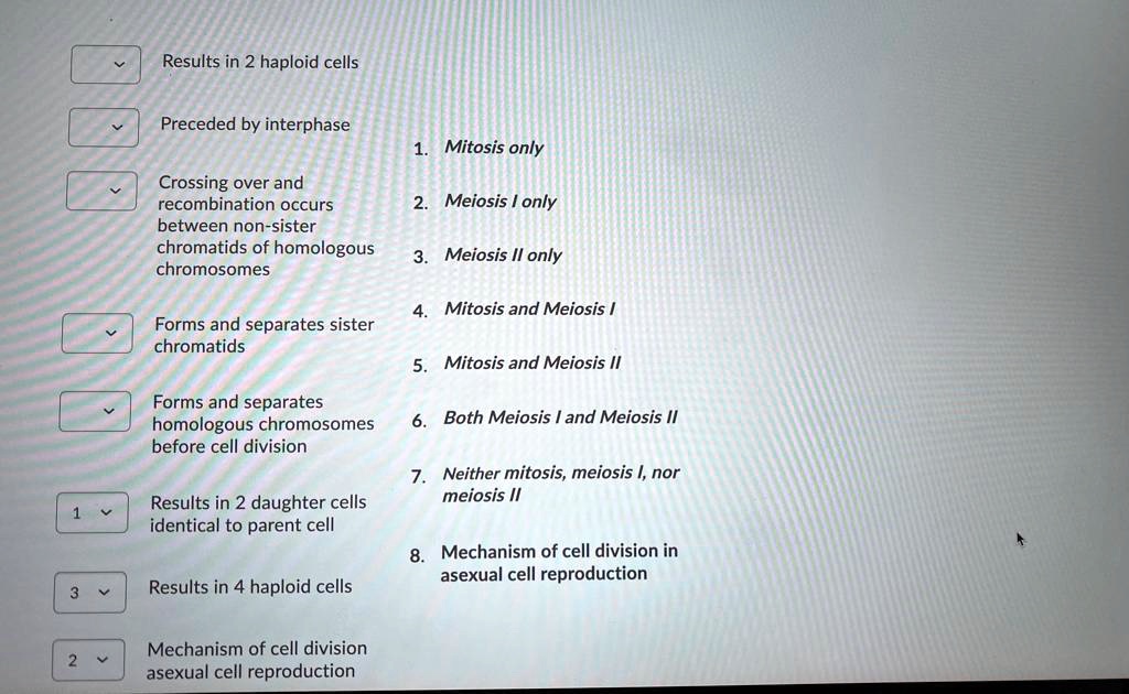 Solved Match Each Description With The Appropriate Cell Division Cycle 1 Results In 2 Haploid 4697