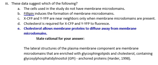 iii. These data suggest which of the following?
a. The cells used in the study do not have membrane microdomains.
b. Fillipin induces the formation of membrane microdomains.
c. X-CFP and Y-YFP are near neighbors only when membrane microdomains are present.
d. Cholesterol is required for X-CFP and Y-YFP to fluoresce.
e. Cholesterol allows membrane proteins to diffuse away from membrane microdomains.
State rational for your answer:

The lateral structures of the plasma membrane component are membrane microdomains that are enriched with glycosphingolipids and cholesterol, containing glycosylphosphatidylinositol (GPI) - anchored proteins (Harder, 1998).