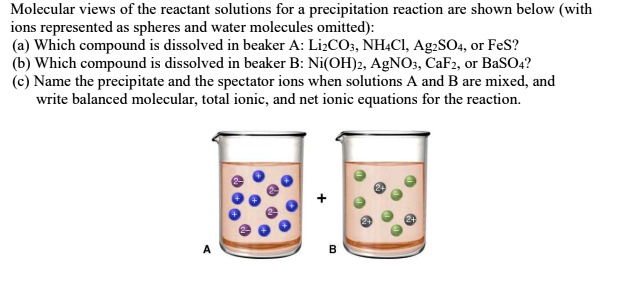 SOLVED: Molecular Views Of The Reactant Solutions For Precipitation ...