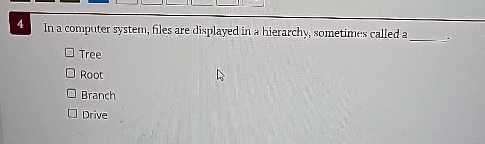 4 in a computer system files are displayed in a hierarchy sometimes called a tree root branch drive in a computer systemfiles are displayed in a hierarchysometimes called a tree root branch  56287
