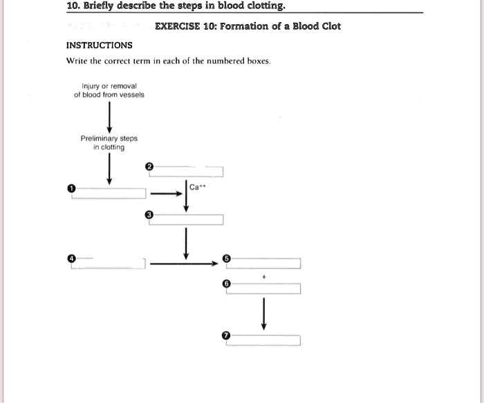 10. Briefly describe the steps in blood clotting.
EXERCISE 10: Formation of a Blood Clot
INSTRUCTIONS
Write the correct term in each of the numbered boxes.
Injury or removal
of blood from vessels
Preliminary steps
in clotting
Ca++