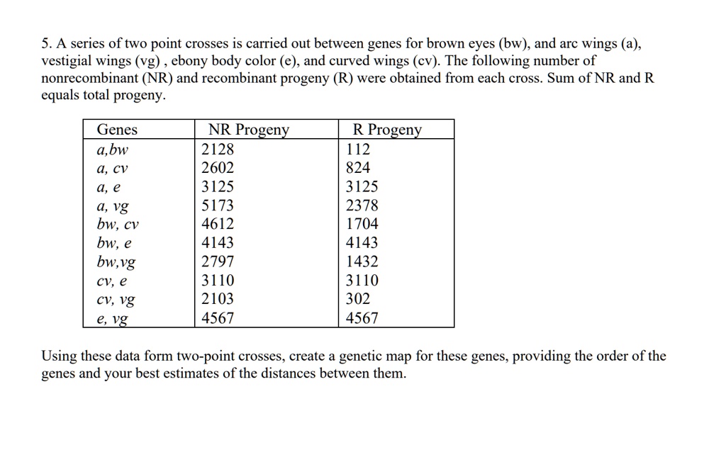 5. A series of two point crosses is carried out between genes for brown eyes (bw), and arc wings (a), vestigial wings (vg) , ebony body color (e), and curved wings (cv). The following number of nonrecombinant (NR) and recombinant progeny (R) were obtained from each cross. Sum of NR and R equals total progeny.

Genes | NR Progeny | R Progeny
a,bw | 2128 | 112
a, cv | 2602 | 824
a, e | 3125 | 3125
a, vg | 5173 | 2378
bw, cv | 4612 | 1704
bw, e | 4143 | 4143
bw,vg | 2797 | 1432
cv, e | 3110 | 3110
cv, vg | 2103 | 302
e, vg | 4567 | 4567

Using these data form two-point crosses, create a genetic map for these genes, providing the order of the genes and your best estimates of the distances between them.